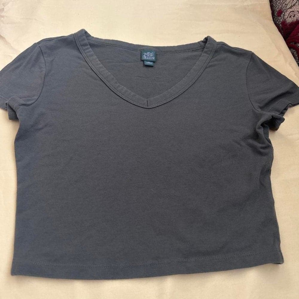 Wild Fable gray v-neck crop top #brandymelville #vneck