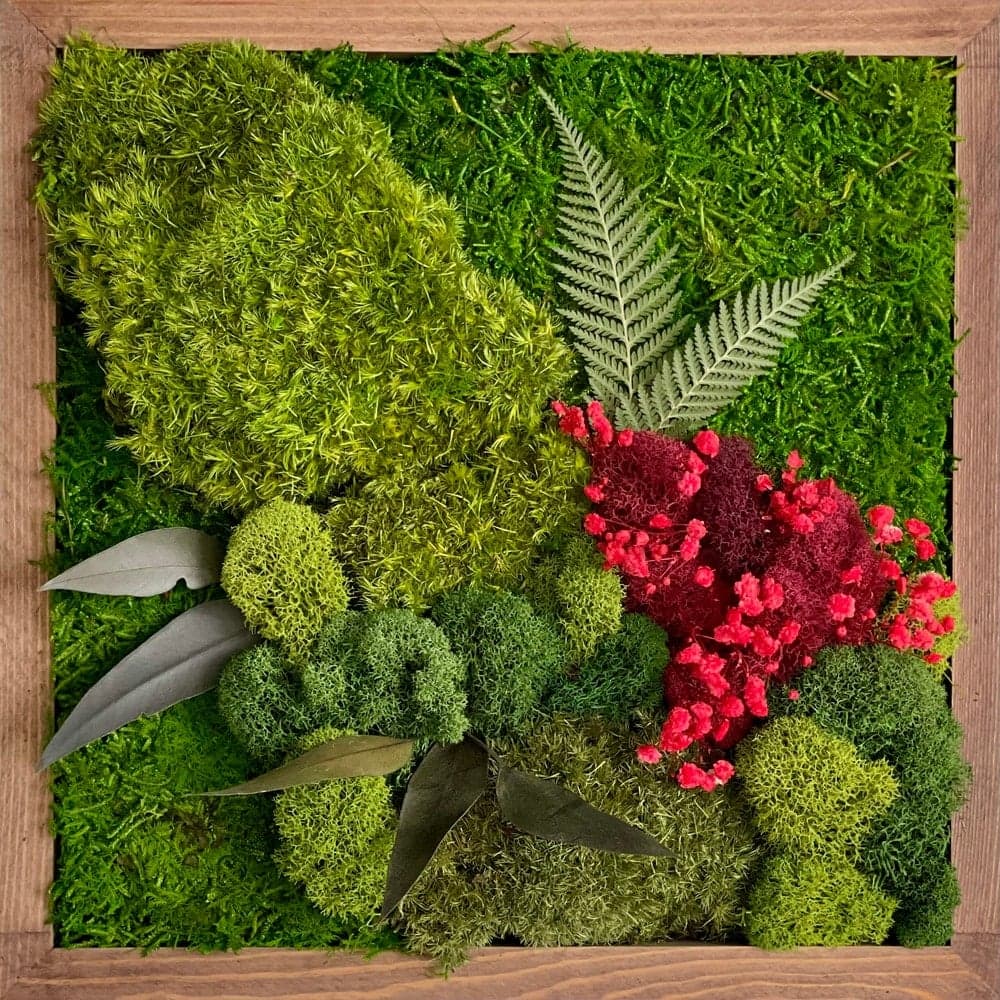 Diy Moss & Floral Art Kit Make Your Own Preserved Moss Wall Art Botanical Craft Kit Nature Lover Gift Adult Diy Kit